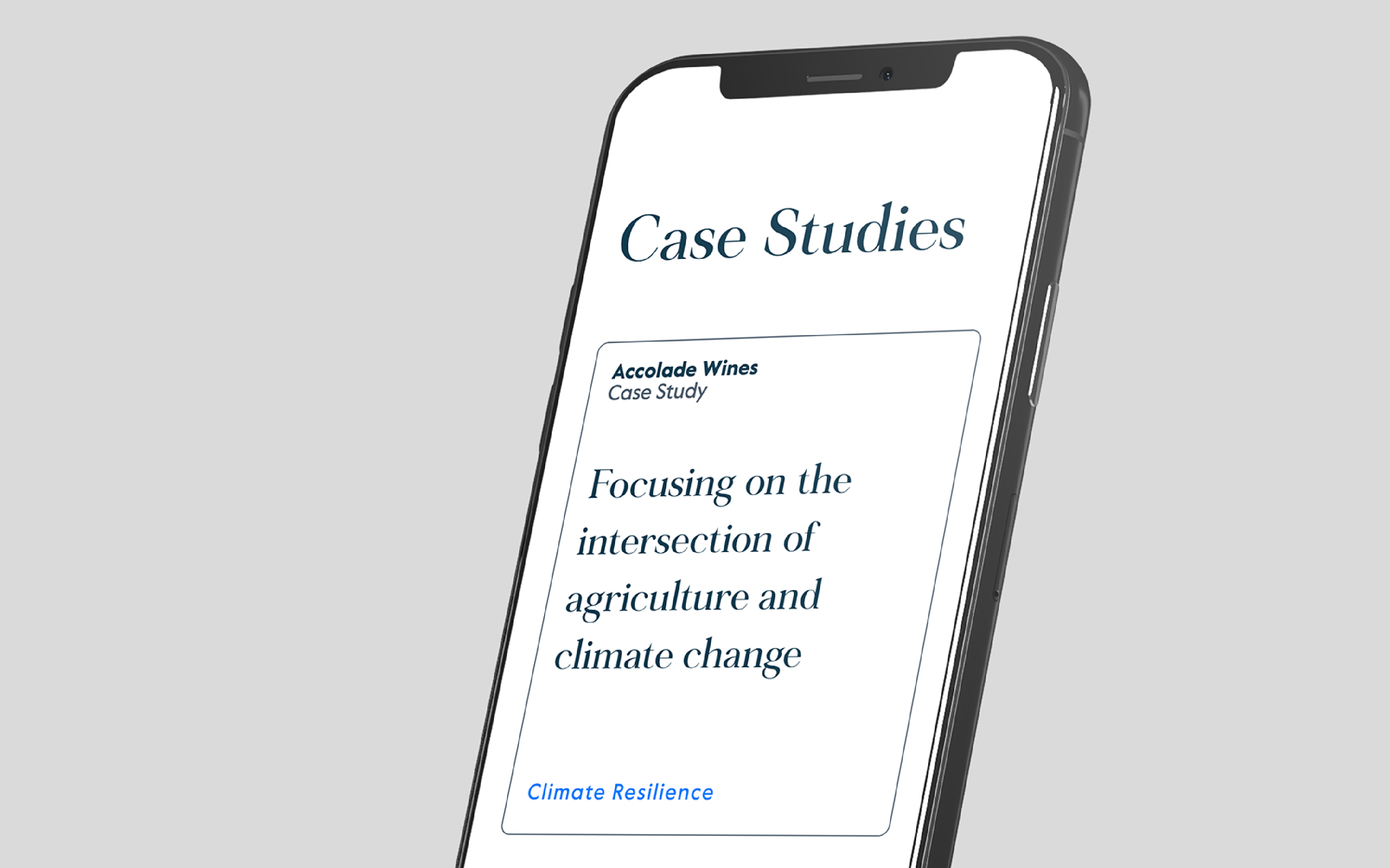 Carlyle Impact Review