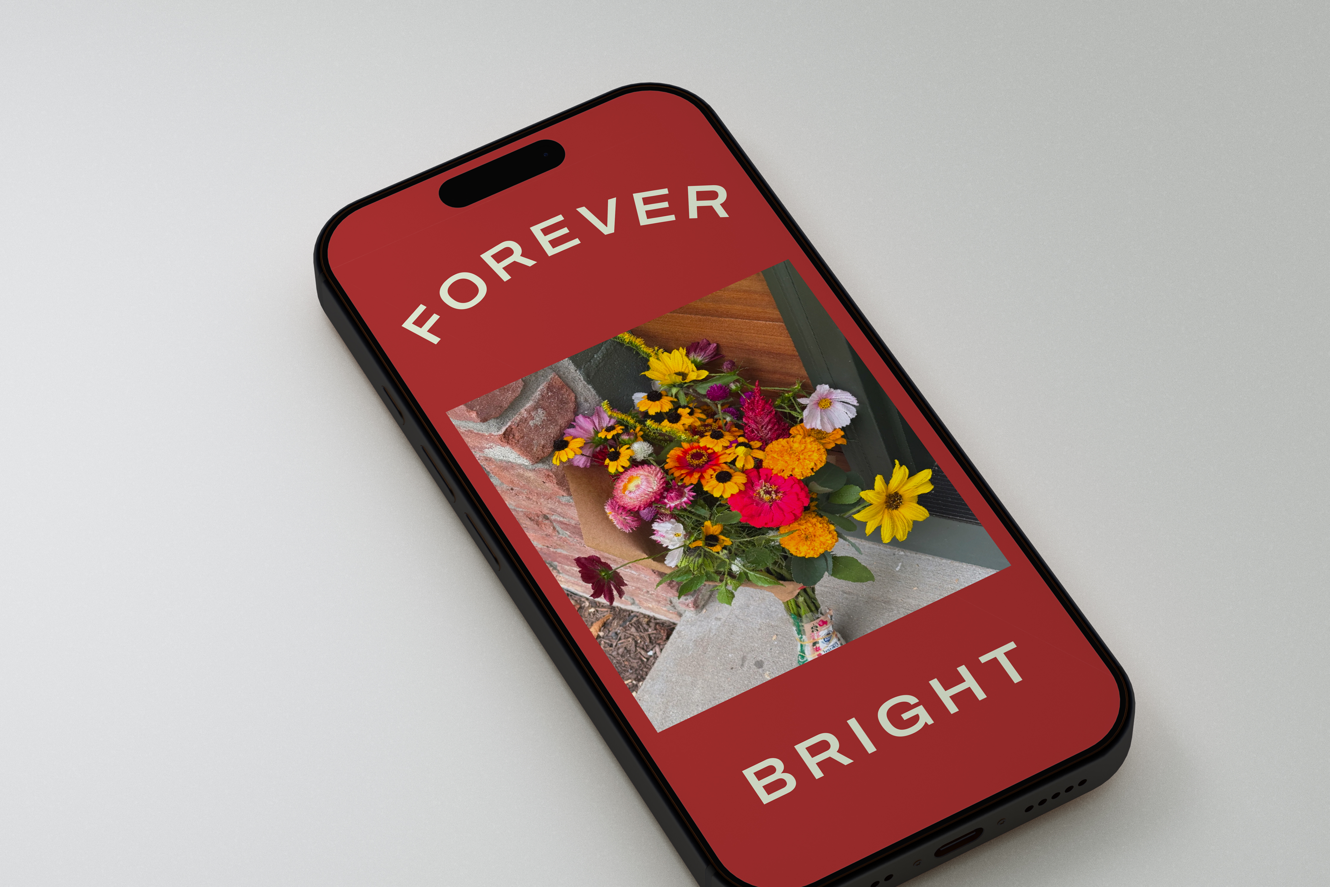 Wing Ming Farm phone mockup