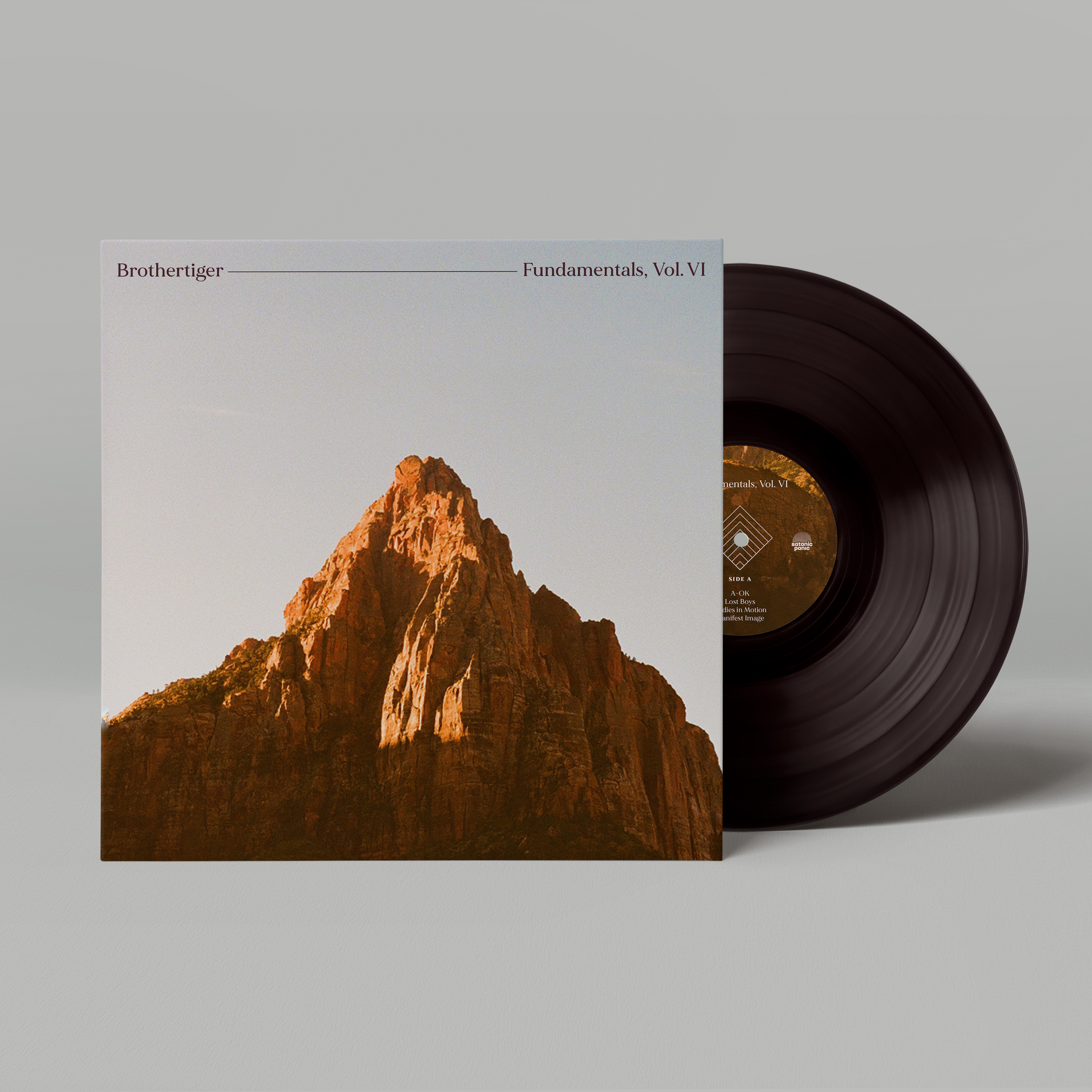 Brothertiger Fundamentals Vol. VI vinyl mockup