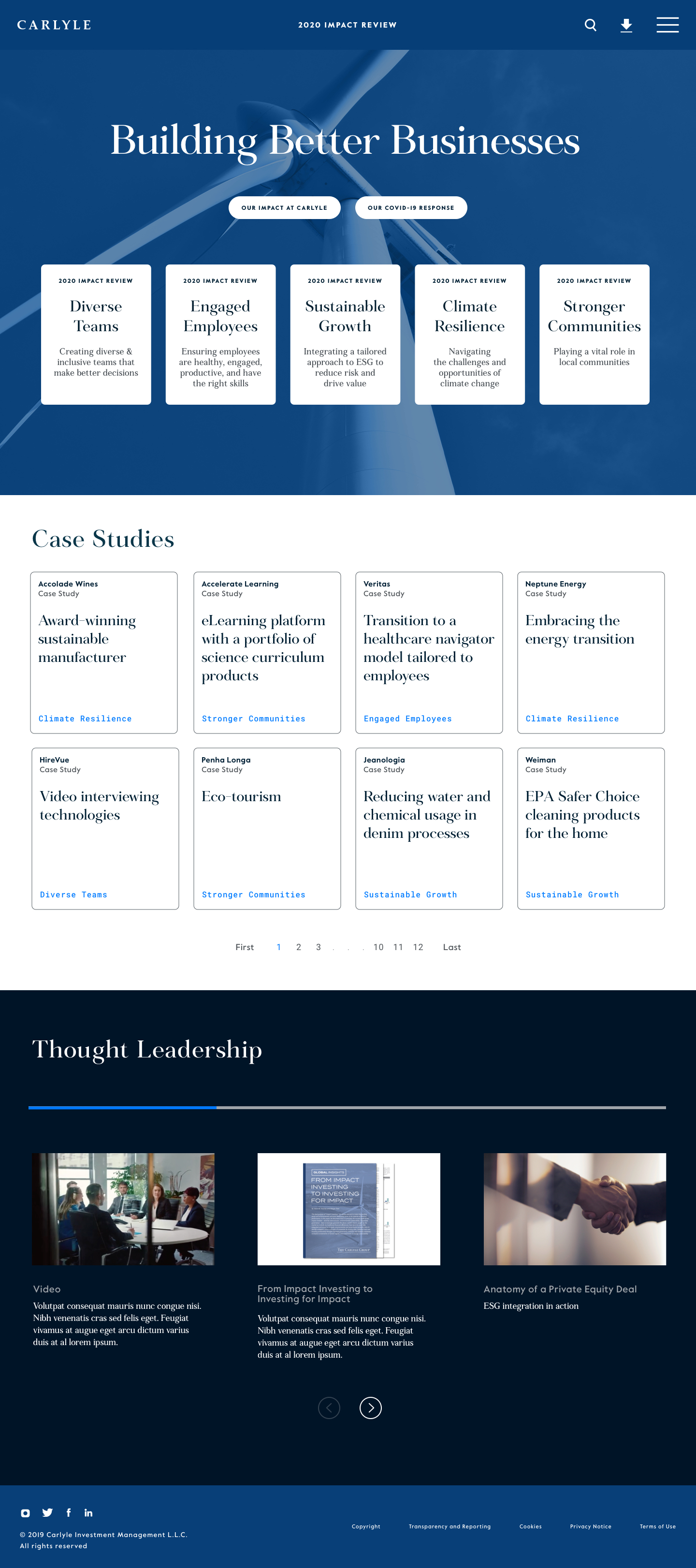 Carlyle 2020 Impact Review digital experience