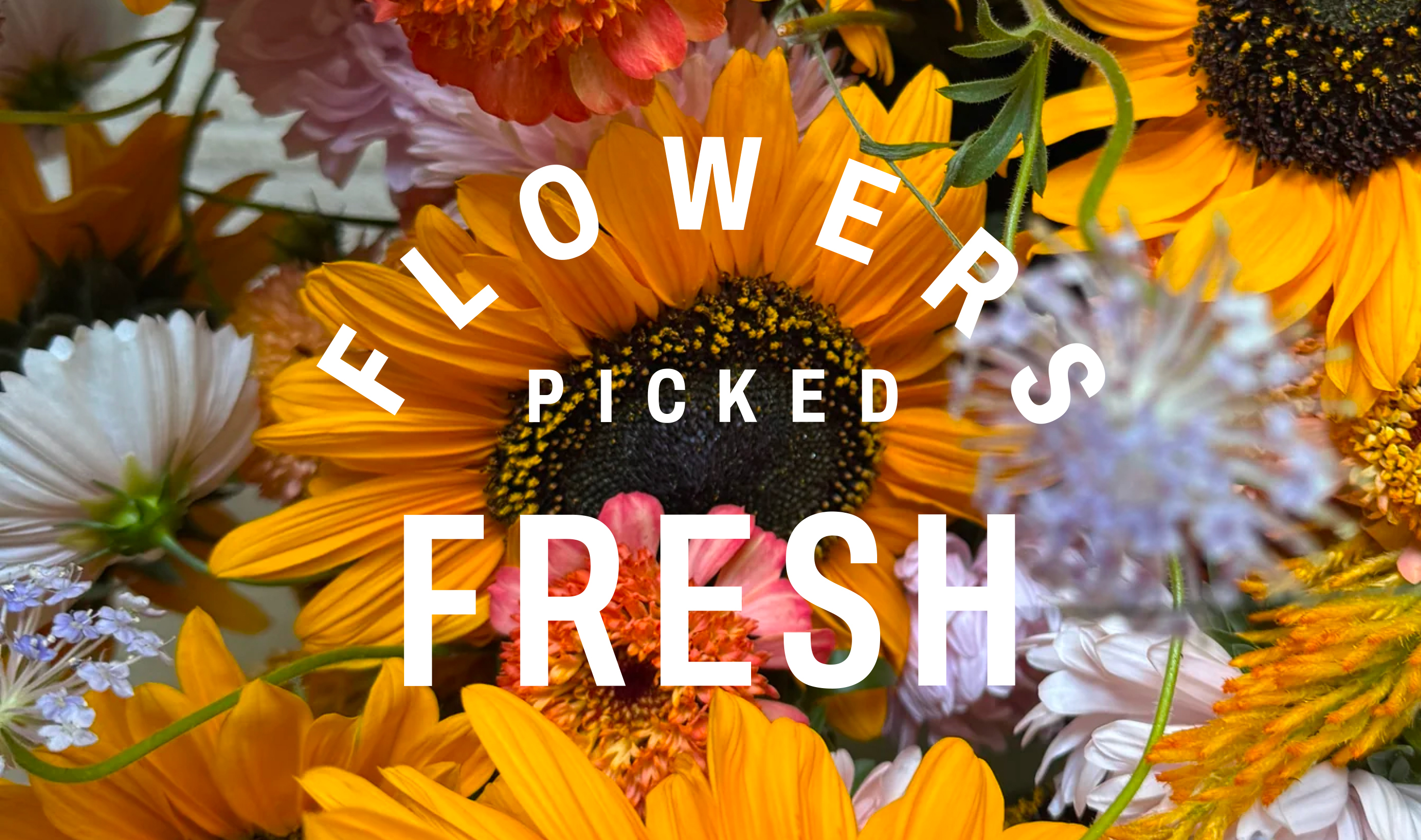 Wing Ming Farm flowers picked fresh