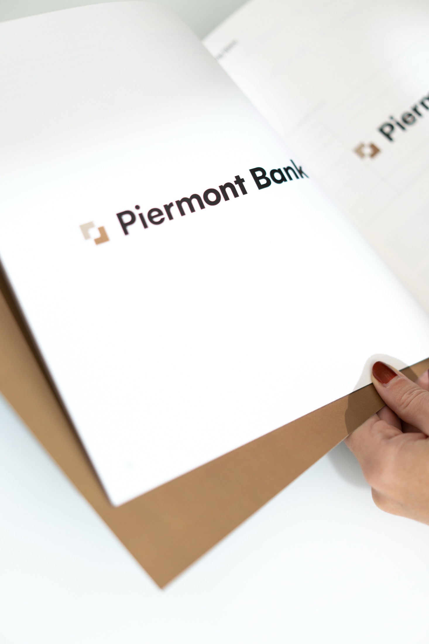 Piermont Bank brand book