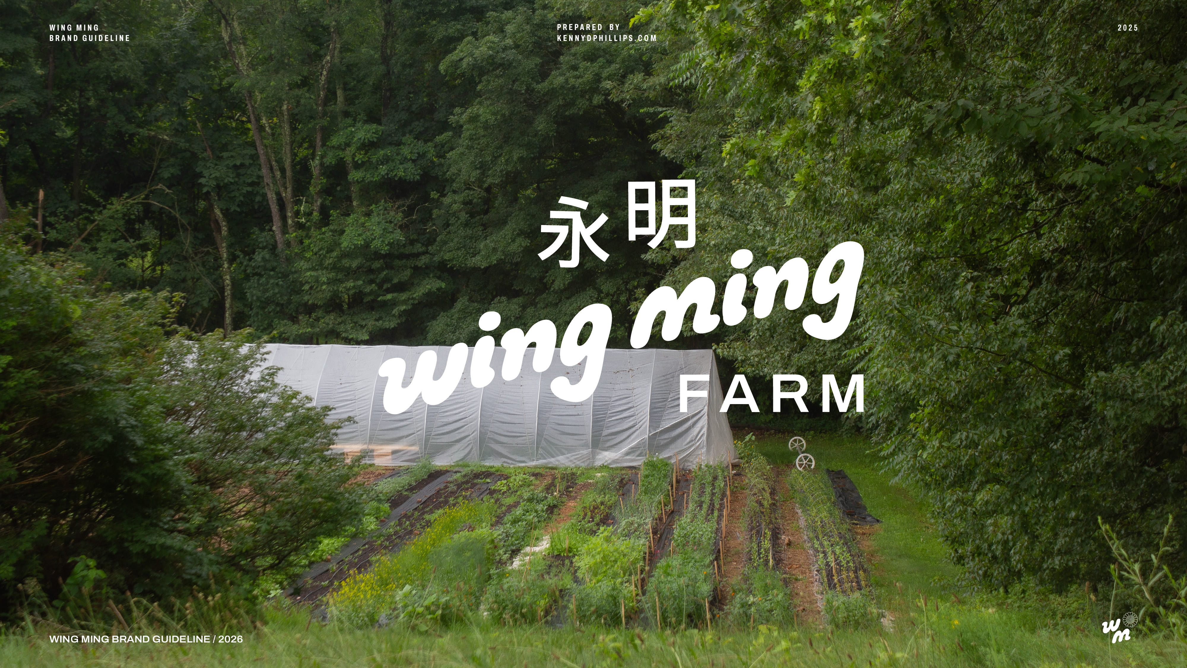 Wing Ming Guidelines page 2